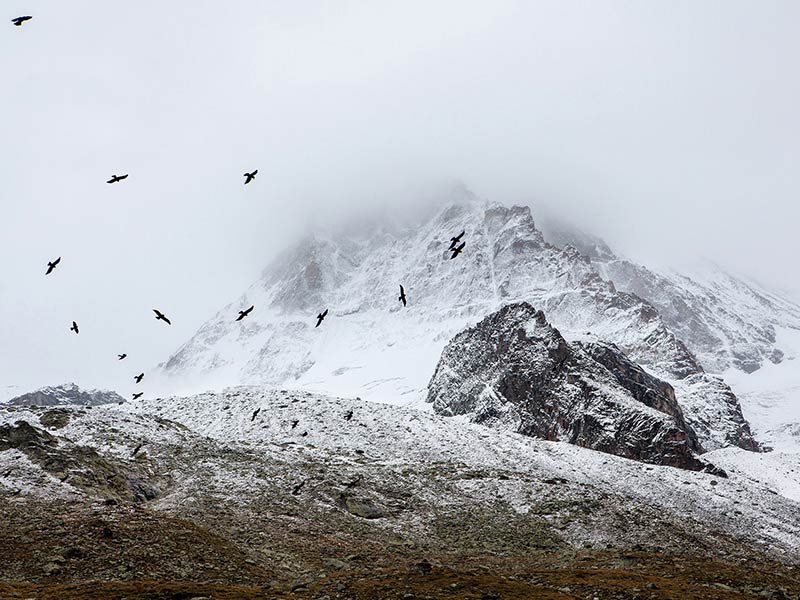 Scenery Image