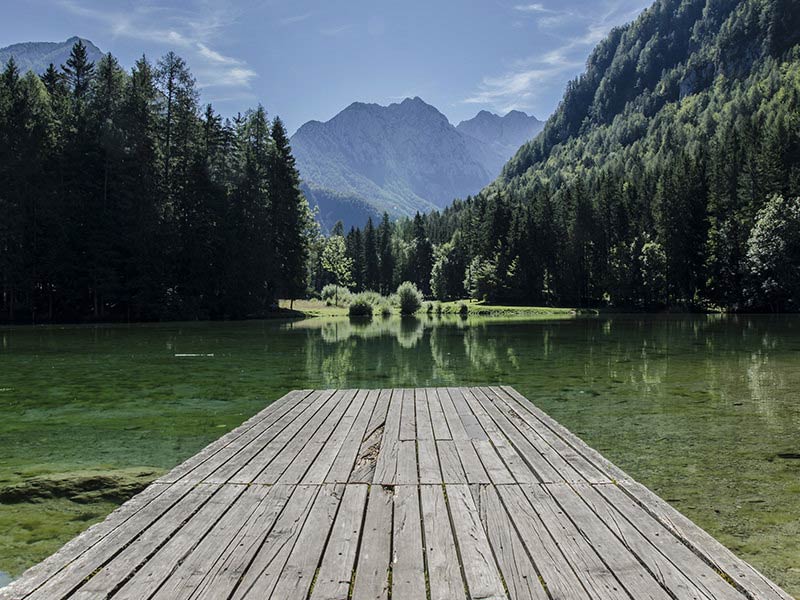 Scenery Image