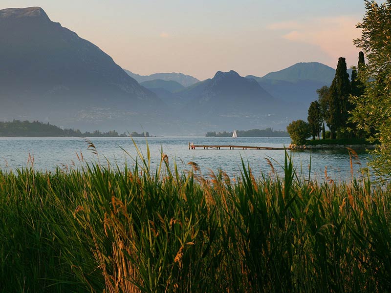 Scenery Image